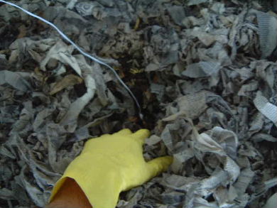 Sprinfield Precise Temp remote thermometer temperature sensor inside my worm bin.