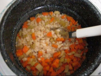 Solar cooking in winter with snow all around using my
      The solar cooked Soya rice vegetable concoction.