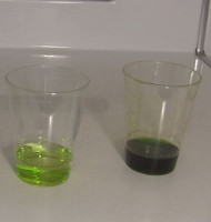 Dilute chlorophyll and alcohol on the left and non-dilute on
      the right.