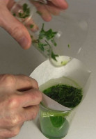Putting the spinach and rubbing alcohol mixture in the filter
      for making chlorophyll.