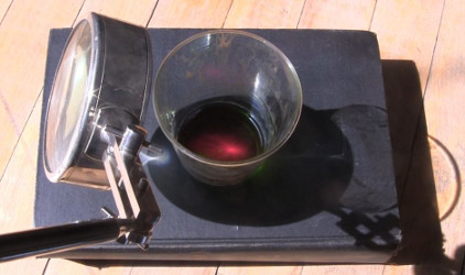 Chlorophyll fluorescing strongly in concentrated sunlight using
      a magnifying glass.