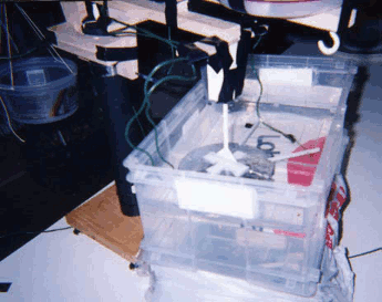 Rear view of Thomas Townsend Brown saucer or disk suspended 
      in mineral oil for testing ion wind effect.