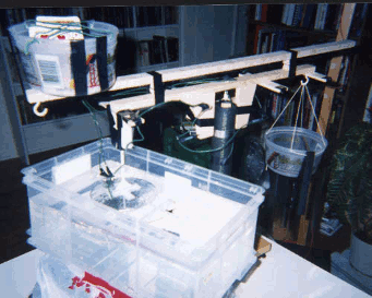 Front view of Thomas Townsend Brown saucer or disk suspended 
      in mineral oil for testing ion wind effect.