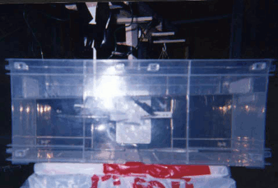 Sire view of Thomas Townsend Brown saucer or disk suspended 
      in mineral oil for testing ion wind effect.